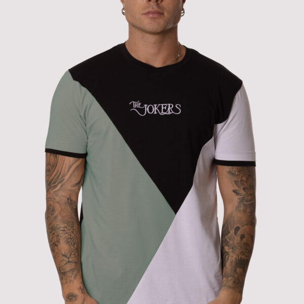 Camiseta Tricolor Hombre Gris